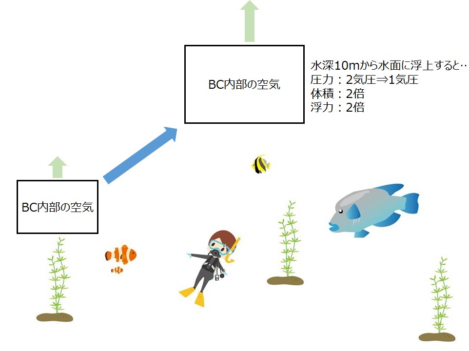 圧力と体積の関係 ダイビングの総合サイト Scuba Monsters スクーバモンスターズ