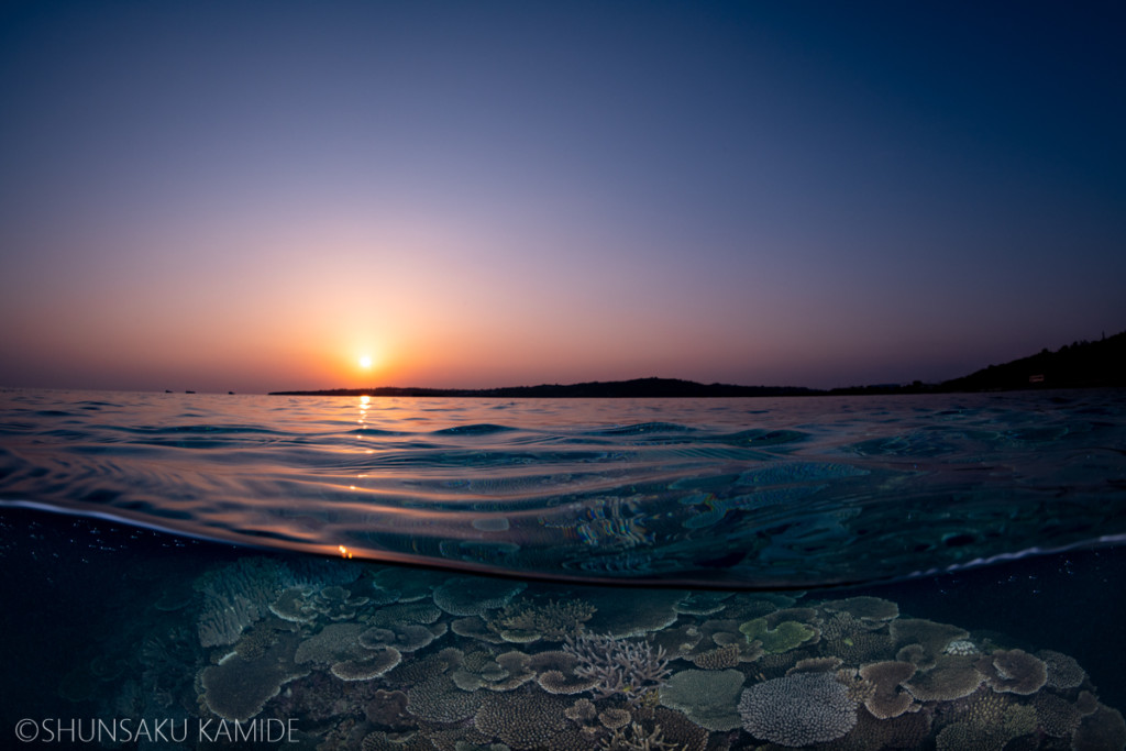 夕日と名護湾のハードコーラル
