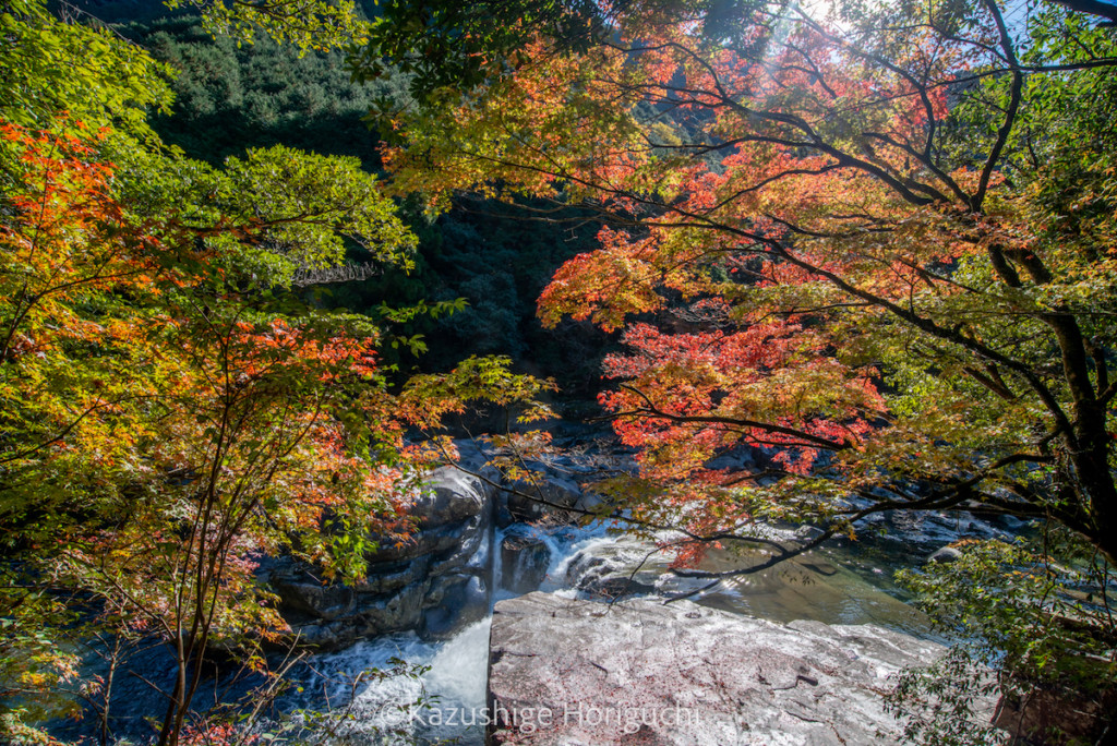 紅葉と銚子川