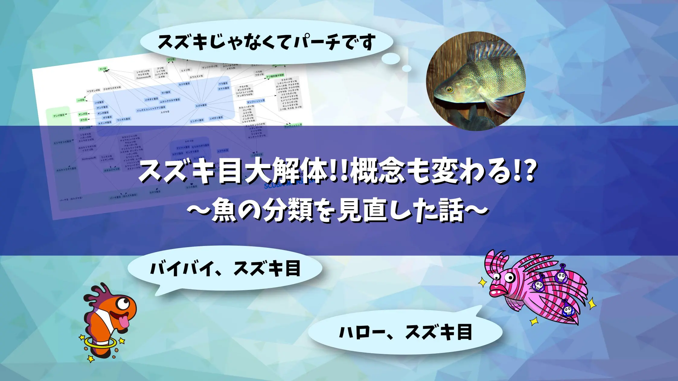 スズキ目大解体!!魚の分類を大幅に見直しました | ダイビングの総合